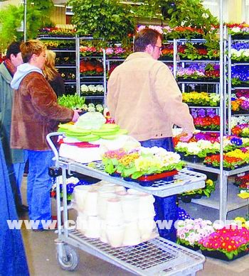 ��(gu��)�H������ͨ���_(t��i)܇��(y��ng)��ʾ��(�M�D)