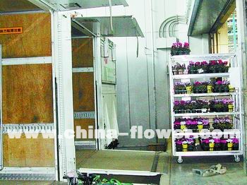 ��(gu��)�H������ͨ���_(t��i)܇��(y��ng)��ʾ��(�M�D)