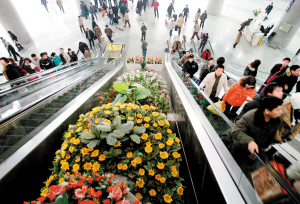 ���վ����� ���滨ӭ�́�