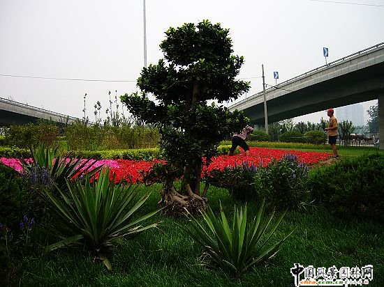 ��ꖅ^(q��)2007��2468���c������c�؅^(q��)�h(hu��n)�������Ŀͨ�ݺ�