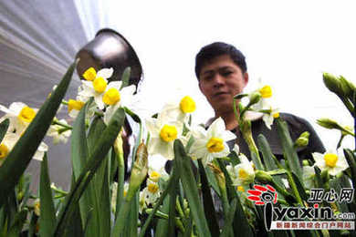 ����ľ�R��ˮ�ɻ���ǰ�ۃr��(�D)