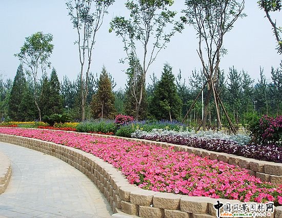 ��ꖅ^2007��2468���c������c�؅^�h�������Ŀ������ˮ��