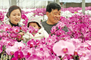 ����������