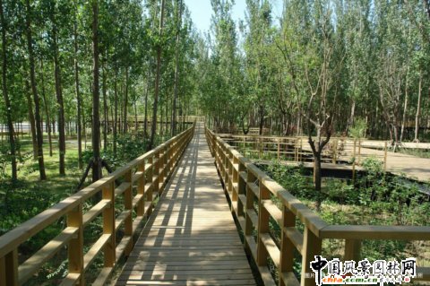 ���P�儓�@