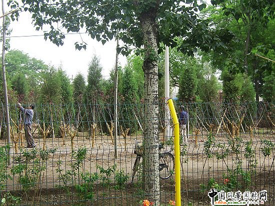 �׶��C������