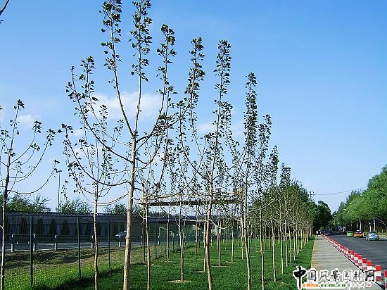 �׶��C���t�~��