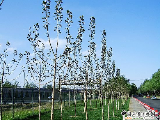 �׶��C���t�~��