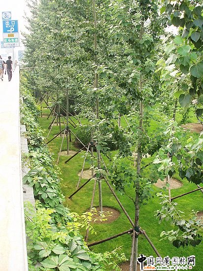 �׶��C����Ԫ��