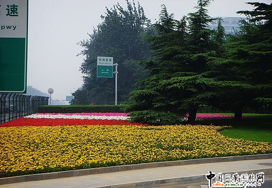 �׶��C����Ԫ��