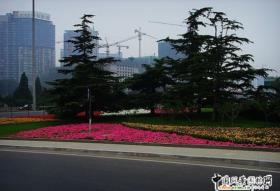 �׶��C����Ԫ��