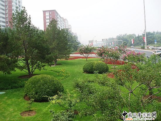 �׶��C����Ԫ��