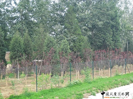 �׶��C�����ô�