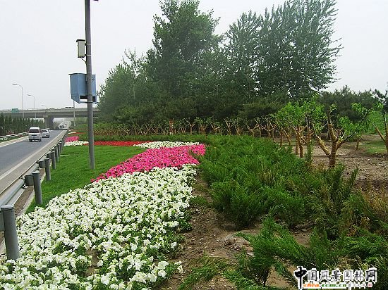 �׶��C����Ԫ��