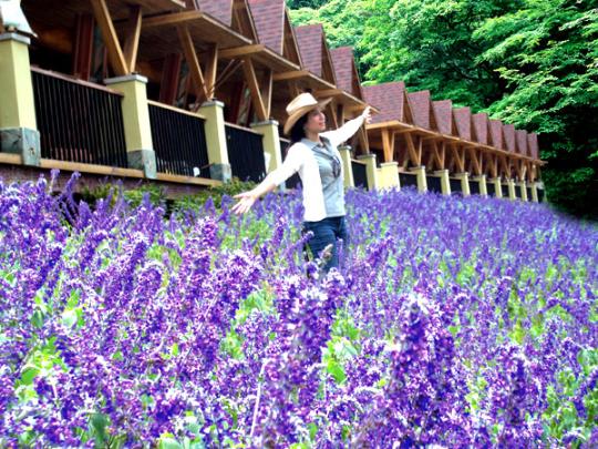 �c���g�[��һ��