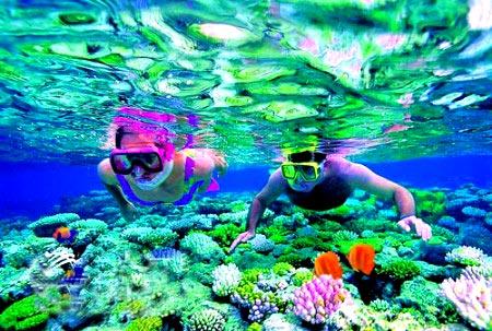 �c���g�[��һ��