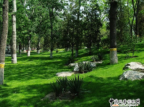 ����^����ˇ�@���^���칤��