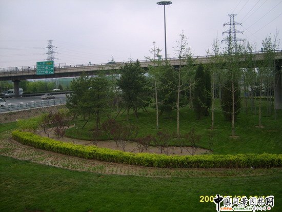 ��ꖅ^2007��W�\���^���s� ��ِ·�� ;��·���ؾ��ɂȭh�����ξG���ķ���^��Ƭ (2)