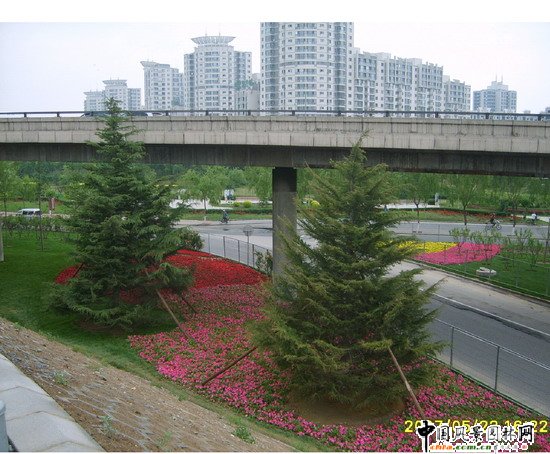 ��ꖅ^2007��W�\���^���s� ��ِ·�� ;��·���ؾ��ɂȭh�����ξG���ķ���^��Ƭ (3)