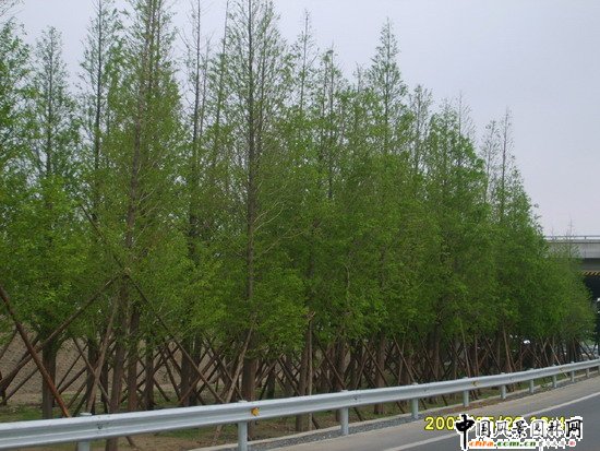 ��ꖅ^2007��W�\���^���s� ��ِ·�� ;��·���ؾ��ɂȭh�����ξG���ķ���^��Ƭ (8)