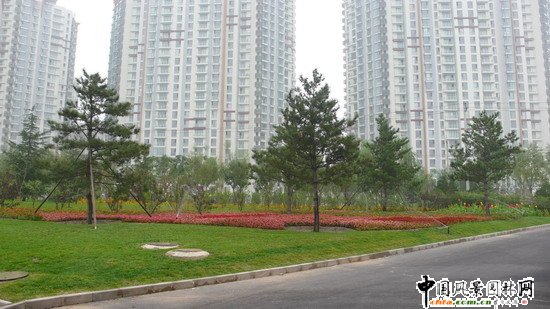 ��ꖅ^(q��)2007��W�\(y��n)���^���s� ��ِ·�� ;��·���ؾ��ɂ�(c��)�h(hu��n)�����ξG����ɽ�G����Ƭ