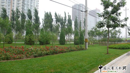 ��ꖅ^2007��W�\���^���s� ��ِ·�� ;��·���ؾ��ɂȭh�����ξG����ɽ�G����Ƭ (1)