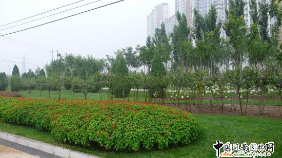 ��ꖅ^2007��W�\���^���s� ��ِ·�� ;��·���ؾ��ɂȭh�����ξG����ɽ�G����Ƭ (2)