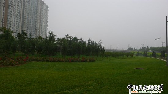 ��ꖅ^2007��W�\���^���s� ��ِ·�� ;��·���ؾ��ɂȭh�����ξG����ɽ�G����Ƭ (8)