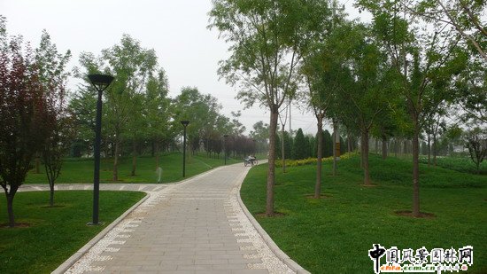 ��ꖅ^2007��W�\���^���s� ��ِ·�� ;��·���ؾ��ɂȭh�����ξG����ɽ�G����Ƭ (7)