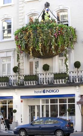 Ӣ�����������������@ ���_250����