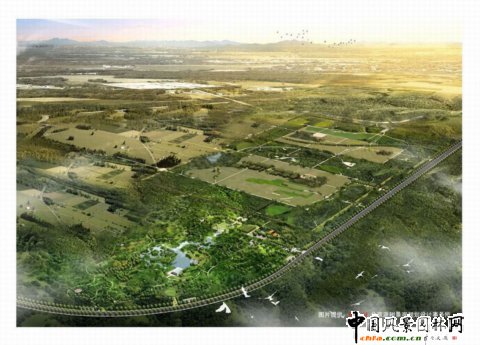 �ӱ������w�����zַ���@