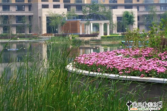 ������ï�W�R�҈@���^�@�־G������