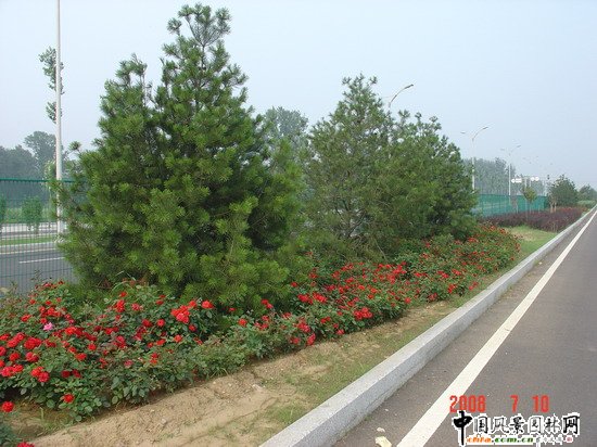 �ח�|·���ĸ��x��