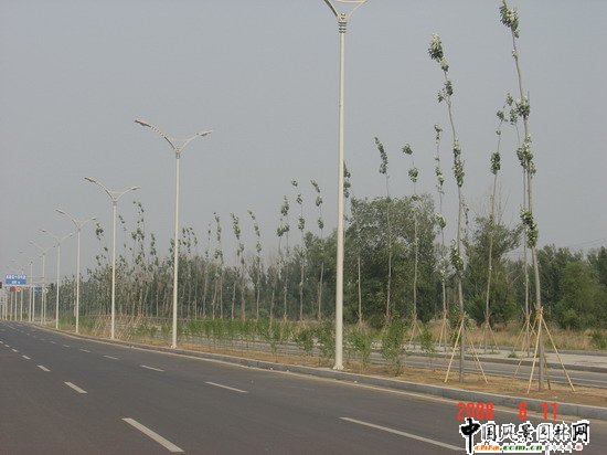 2008�����Ʒ����֮������ɽ�^�ח�|·�G������