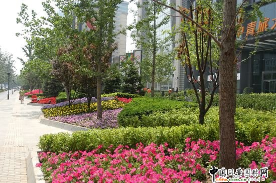 �|���h��ͨ�̄Յ^��һ�ڣ��G������