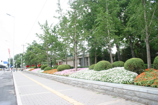 2008�����Ʒ����֮�����h�ςȵٹ��@�h���G������