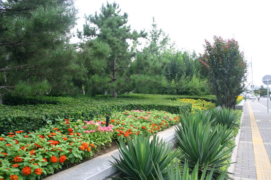 2008���(hu��)��Ʒ����֮�����h(hu��n)�ς�(c��)�ٹ��@�h(hu��n)���G������