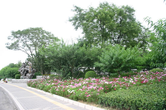 2008�����Ʒ����֮�����h�ςȵٹ��@�h���G������