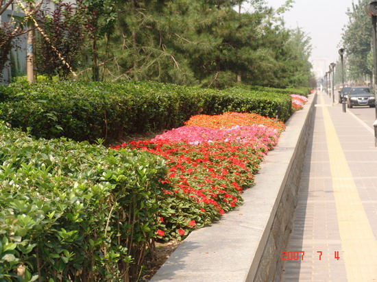 2008�����Ʒ����֮�����h�ςȵٹ��@�h���G������