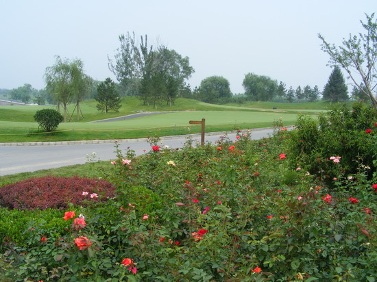 2008������|����֮������Ӟ��ߠ�������������G������