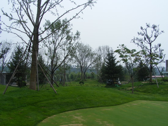 2008���(hu��)��(y��u)�|(zh��)����֮������Ӟ��ߠ������(ch��ng)����(hu��)���G������