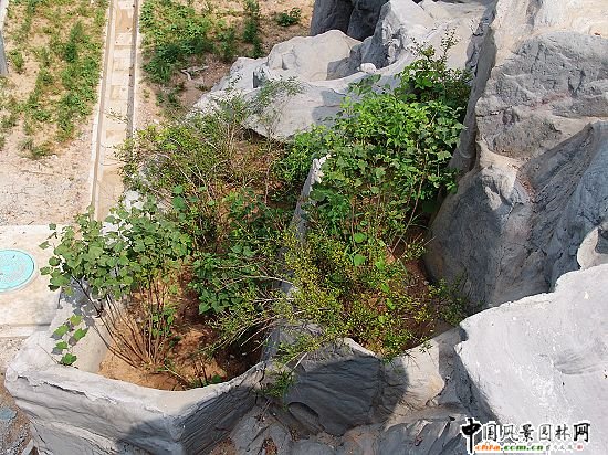 2008�����(y��u)�|(zh��)����֮��ƽ���ٹ�·