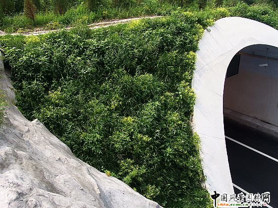 ��ƽ����·���f�^�������^�G��