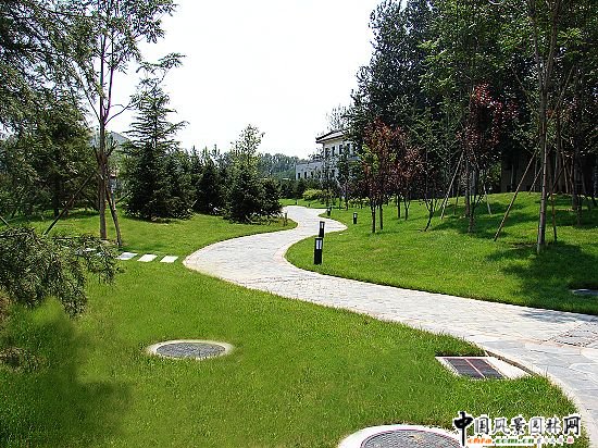 �y݆���ھ��^����