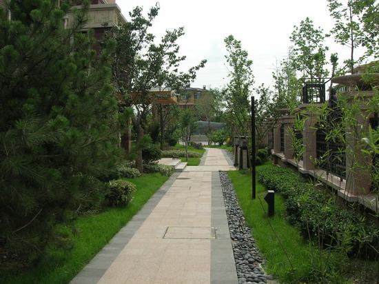 2008�����Ʒ����֮�f���A��1�|��2�|�؈@�־��^����