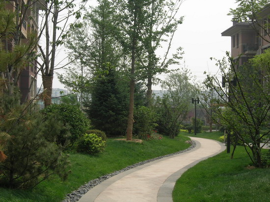 2008�����Ʒ����֮�f���A��1�|��2�|�؈@�־��^����