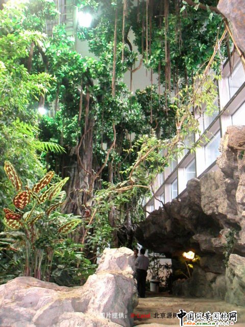 �Ϻ��Ƽ���