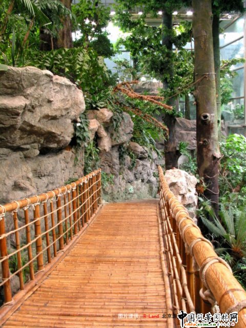 �Ϻ��Ƽ���