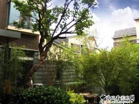 �����e�����ژӰ徰�^����