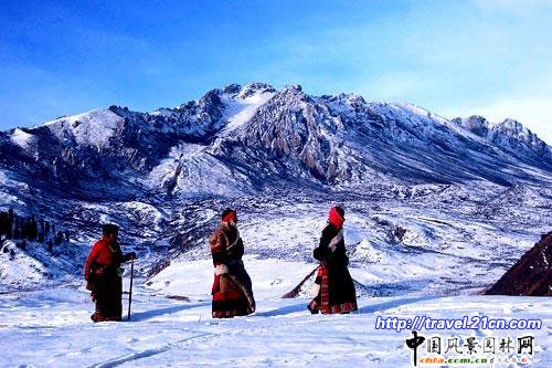 ��ľ�£��������϶˵����g����(�D)