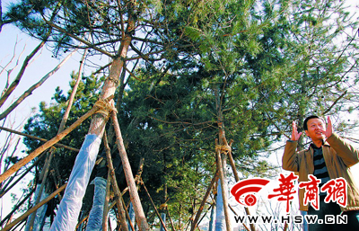 ��̫�ܣ��@�־֬F�����(�D)